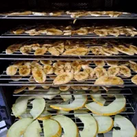 میوه و گوشت خشک کن صنعتی 10 الی 100 کیلویی شرکتی|سایر لوازم برقی|کرمانشاه, |دیوار