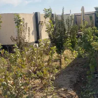 اجاره شبانه باغ ویلا|اجارهٔ کوتاهمدت ویلا و باغ|تهران, شهرک صدرا|دیوار