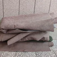 چندتا موکت .یاسی‌.سبز.نخودی