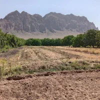 معاوضه زمین کشاورزی مناسب باغ