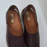 کفش|کیف، کفش، کمربند|کوهدشت, |دیوار