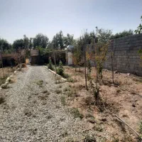 باغچه در خیابان اول کاشانک اسلامشهر|فروش زمین و ملک کلنگی|اسلامشهر, کاشانک|دیوار