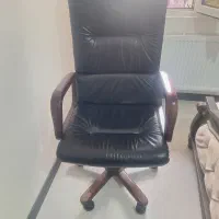 صندلی اداری چرخدار|دفتر کار|فردیس, نگارستان|دیوار