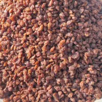 کشمشسبزکاشمر|خوردنی و آشامیدنی|سبزوار, توحیدشهر|دیوار