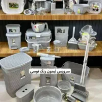 سرویس پلاسکو لیمون|ظروف نگهدارنده، پلاستیکی، یک‌بارمصرف|شیراز, شاهچراغ|دیوار