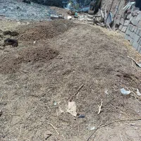 فروش سه نیسان کود آلی حیوانی برای باغچه همش یکتومن|خدمات باغبانی و درختکاری|چهارباغ, |دیوار