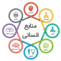 مشاور و متخصص رشد و توسعه سازمان