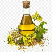 قاتل پروستات ومشکلات جنسی آقایان