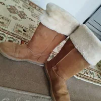 پوتین