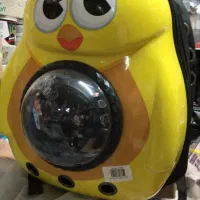 پرنده گم شده