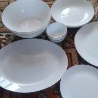 ارکوپال دینو