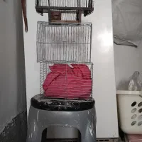 لوازم پرنده