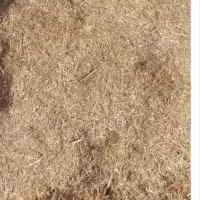 فروش کاه گندم آبی درجه یک و نرم