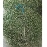 ۵۰۰ بسته یونجه خالص دیمی