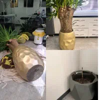 خدمات باغبانی تعویض خاک گلدون هرس در محل شما