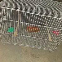 فقس در حد نو با وسایلاش