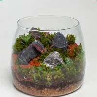 ساخت تراریم پالادریوم و تنگ پلنت