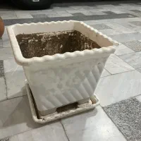 چند مدل گلدان|گل و گیاه طبیعی|قم, دروازه چوبی|دیوار