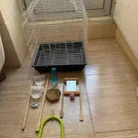 قفس پرنده