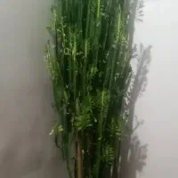 گل طبیعی خیلی خوشگل|گل و گیاه طبیعی|مرودشت, علیآباد|دیوار