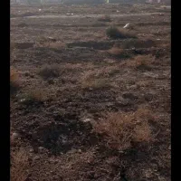 زمین-غصن-اباد