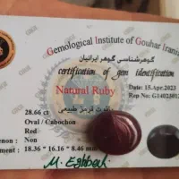 جواهرات شناسنامه دار کهربای حشره دار یاقوت|جواهرات|تفرش, |دیوار