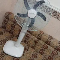 شادگان کوی عبودی