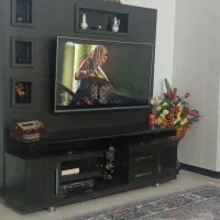 زیر تلویزیونی