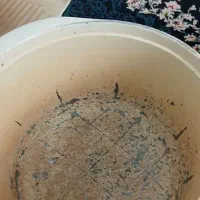 قابل مارک دسینی ایتالیا|ظروف پخت‌وپز|اهواز, کوی رمضان|دیوار