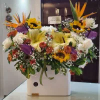 ۲عدد باکس گل طبیعی لیلیوم و آفتابگردون