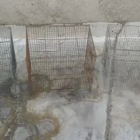 قفس پرنده سه تا دونه ای ۲۰۰