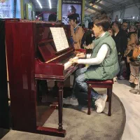 سازهای دیجیتالی پیانو|پیانو، کیبورد، آکاردئون|بجنورد, |دیوار