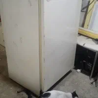 تعمیر انواع یخچال لباسشویی. اسپلیت. پکیج .|خدمات پیشه و مهارت|قائمشهر, |دیوار