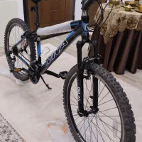 دوچرخه ویوا آلومینیومی اصل تایوان حک شده روی بدنه|دوچرخه، اسکیت، اسکوتر|رشت, منظریه|دیوار