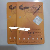 بلیط استخر پازیریک