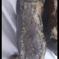 شهاب سنگ|کلکسیون اشیاء عتیقه|باغ بهادران, |دیوار