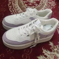 کتونی|کیف، کفش، کمربند|اراک, |دیوار