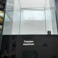 کارگاه تولیدی آکواریوم ریملس|ماهی|اردبیل, |دیوار