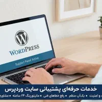استخدام ادمین سایت وردپرس و اکسل