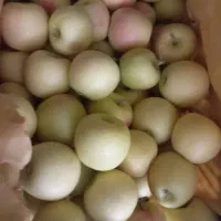 سیب زرد رنگ دار بدون یک دونه خرابی
