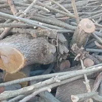 خرید چوب کنده توت و گردو