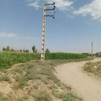 زمین کشاورزی هکتاری(استخر آب ذخیره+۳عدد چاه)|فروش زمین و ملک کلنگی|جوادآباد, |دیوار