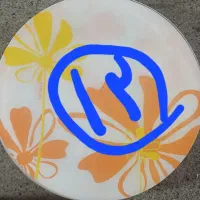 سرویس بشقاب آرکوپال|ظروف سرو و پذیرایی|یاسوج, |دیوار