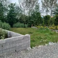 ۲۱۷متر شهرک خصوصی نزدیک به جنگل/سند/با اقساط ۲۰ ما