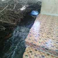 مشارکت در ساخت و شراکت یا استیجاری|مشارکت در ساخت املاک|سی‌سخت, |دیوار