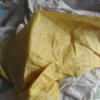 کیسه خالی اردی