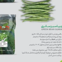 لوبیا سبز سانری gsn