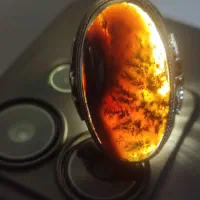 انگشترشجر1200