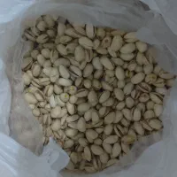 پسته درجه یک|خوردنی و آشامیدنی|تربت جام, کلالی|دیوار