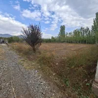 زمین باغ در فیرورق ۱۲۰۰ متری|فروش زمین و ملک کلنگی|فیرورق, |دیوار